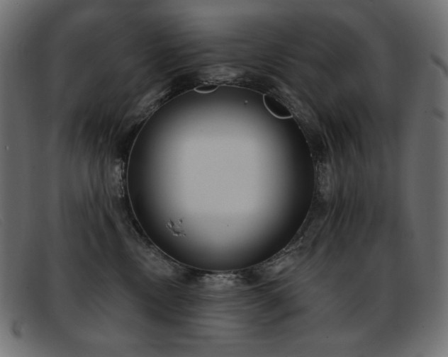 X0000093360378200710111459