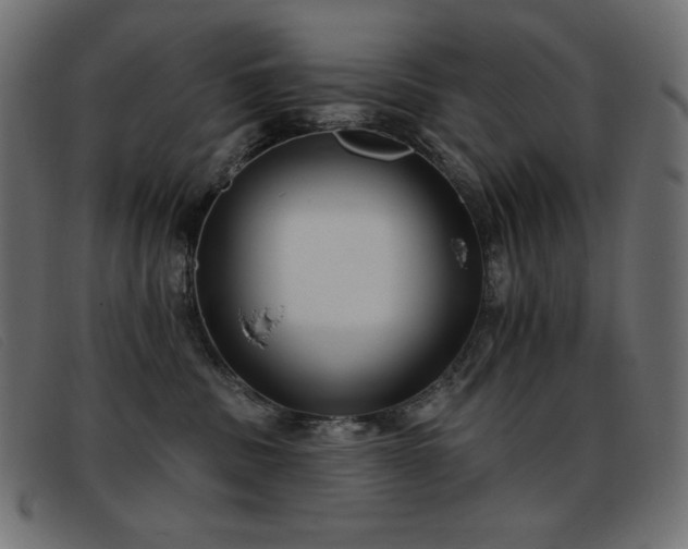 X0000093360379200710111459