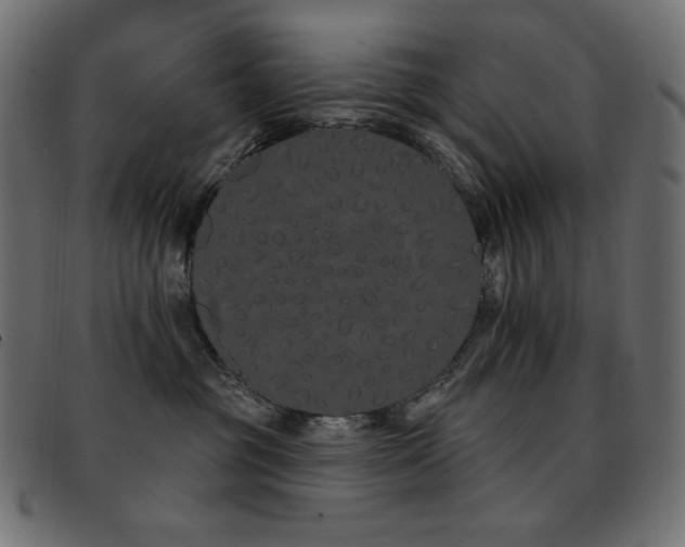 X0000093360381200710111459