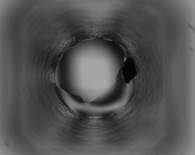 X0000093360384200710111459