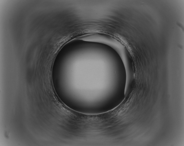 X0000093360385200710111458