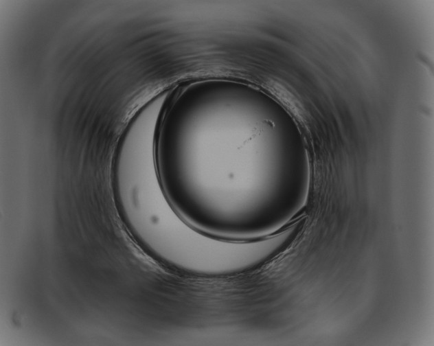 X0000093360389200710111458