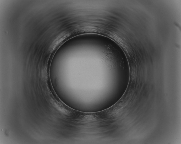 X0000093360390200710111458