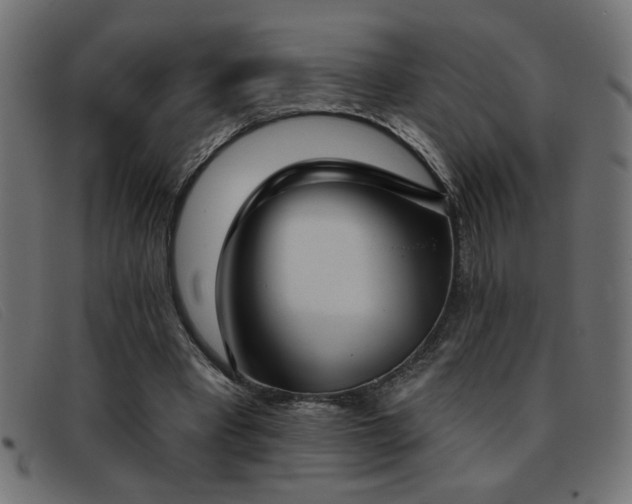 X0000093360393200710111458