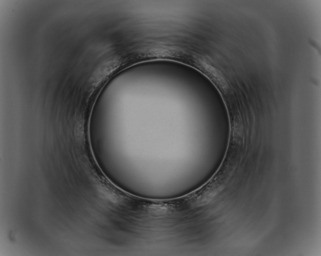 X0000093360394200710111458