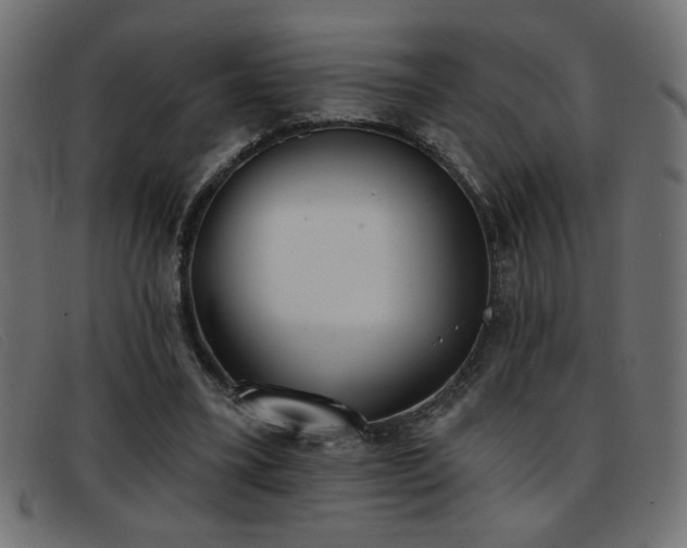 X0000093360395200710111458