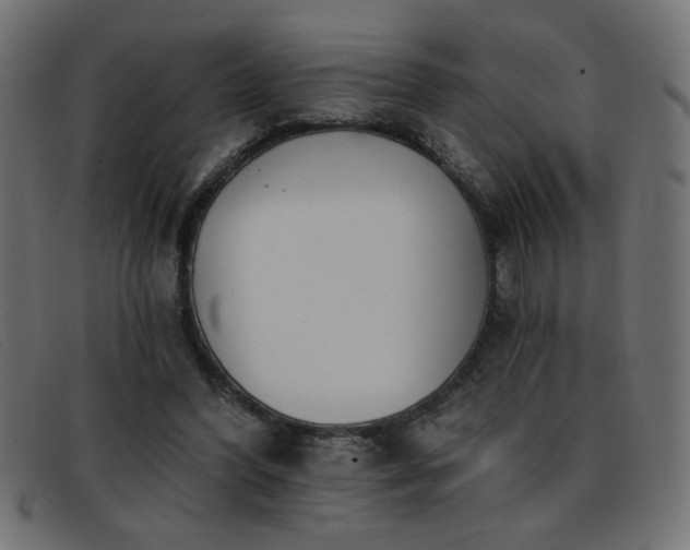 X0000093360396200710111458