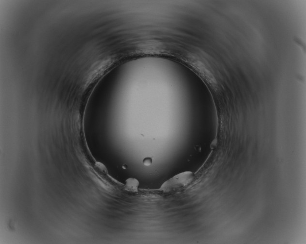 X0000093360397200710111458