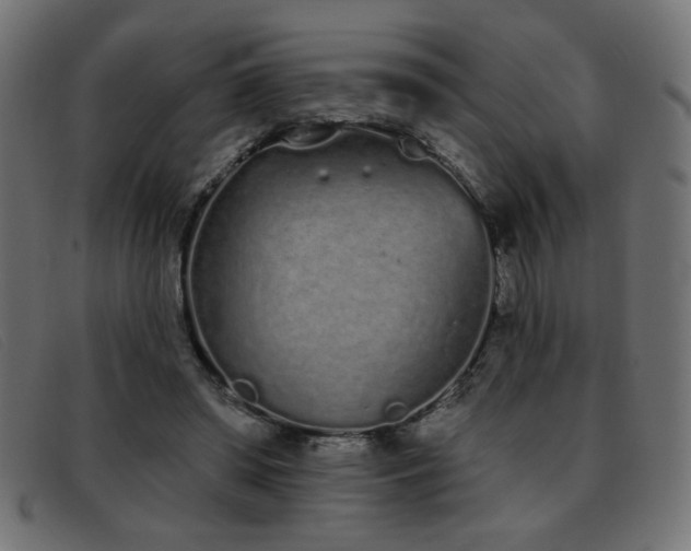 X0000093360398200710111458