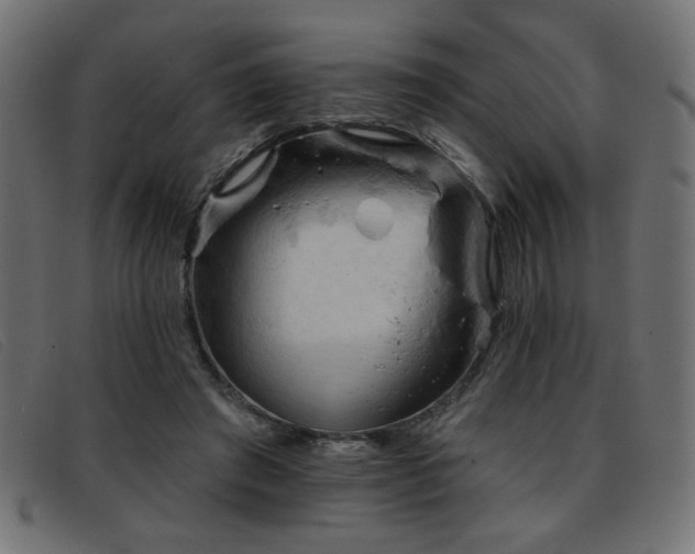 X0000093360401200710111458