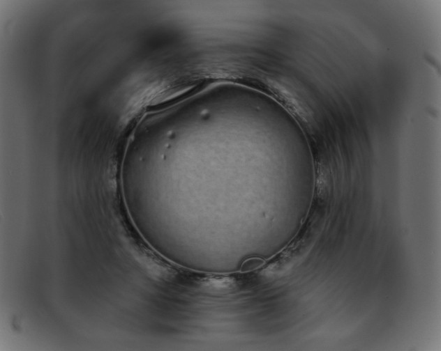 X0000093360402200710111458