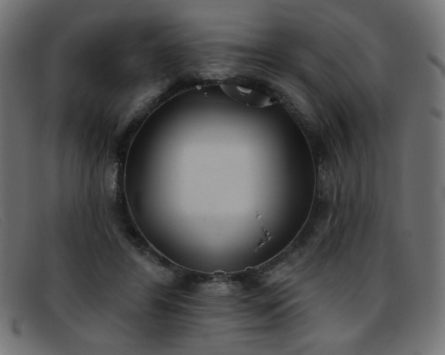 X0000093360404200710111458