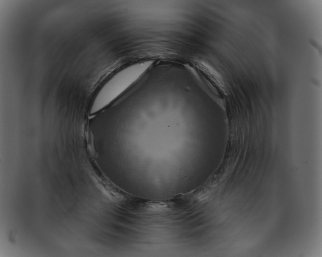 X0000093360405200710111458