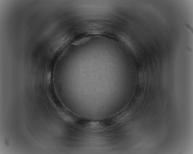 X0000093360406200710111458