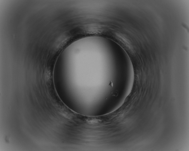 X0000093360407200710111458