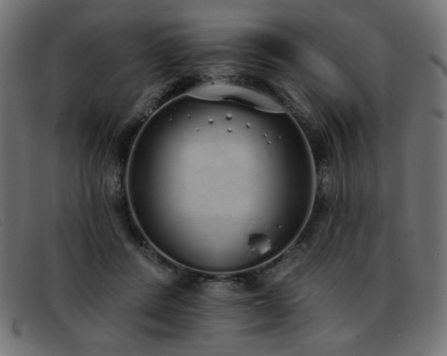 X0000093360408200710111458