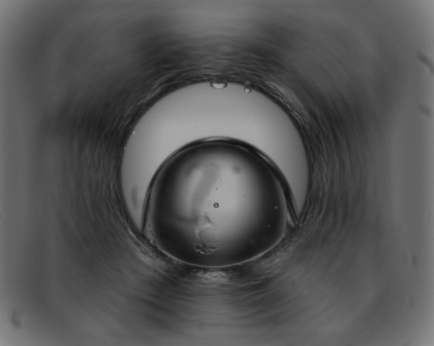X0000093360409200710111458