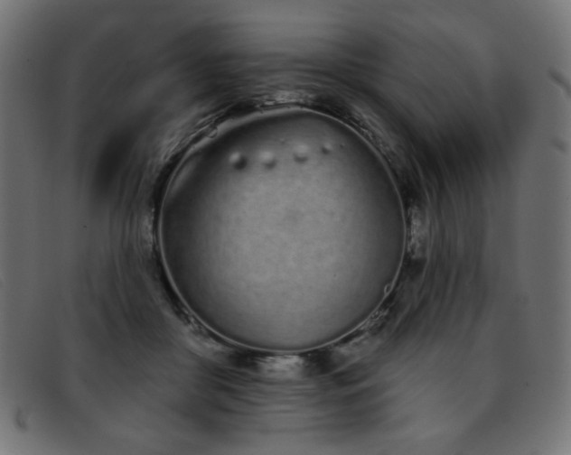 X0000093360410200710111458