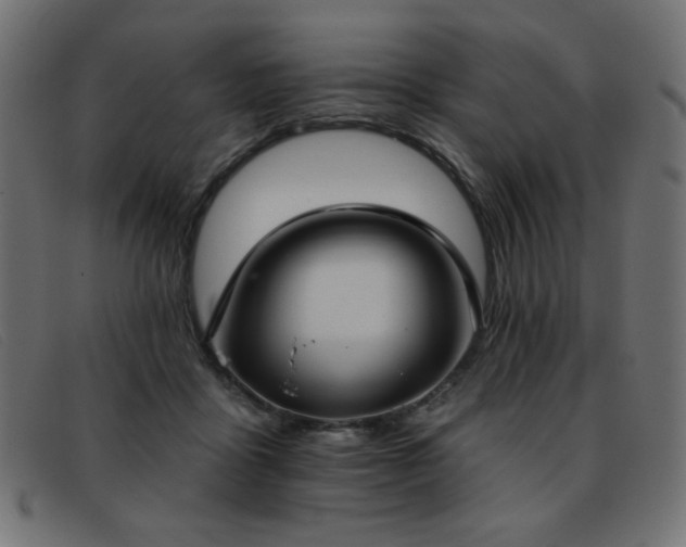 X0000093360411200710111458