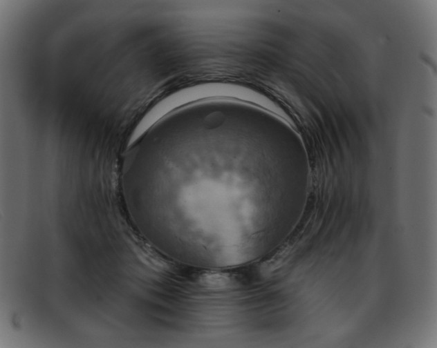 X0000093360413200710111458