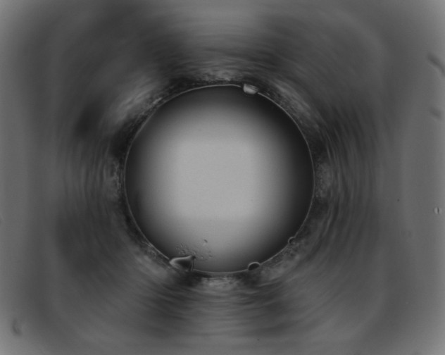 X0000093360414200710111458