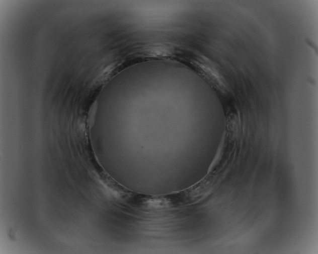 X0000093360415200710111458