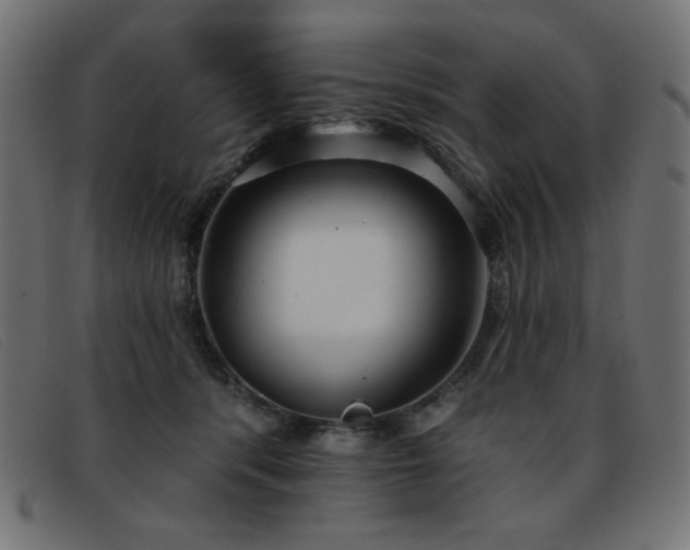 X0000093360416200710111458