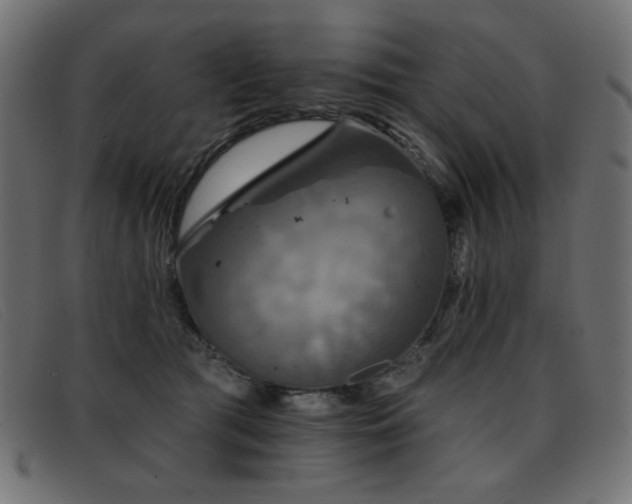 X0000093360417200710111458