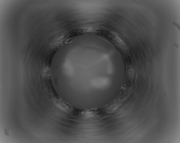 X0000093360419200710111458