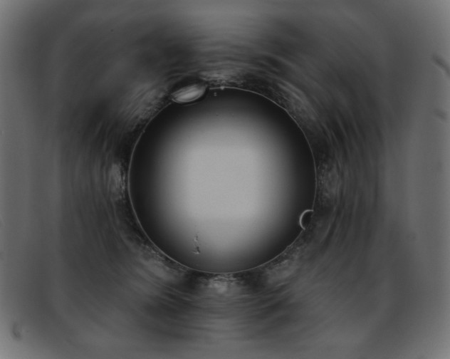 X0000093360420200710111458
