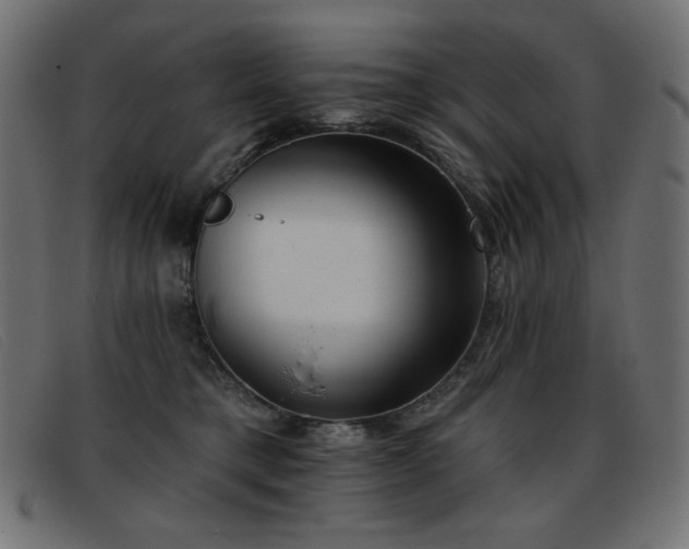 X0000093360421200710111458