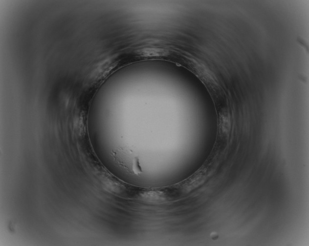 X0000093360422200710111458