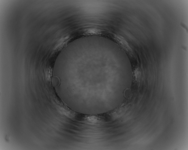 X0000093360423200710111458