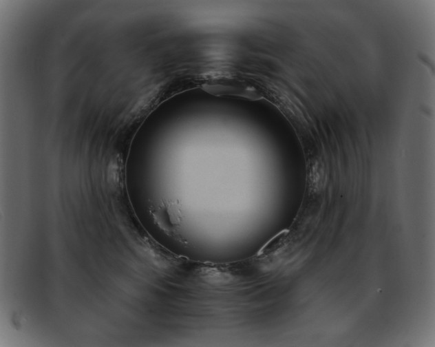 X0000093360424200710111458