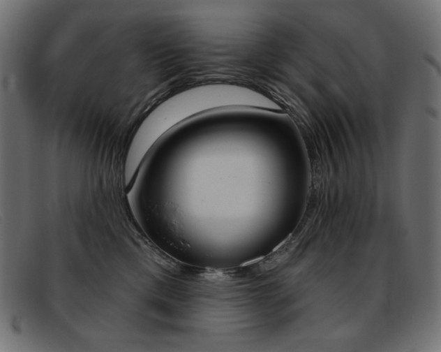 X0000093360425200710111458