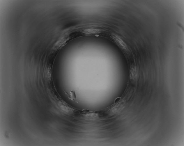 X0000093360426200710111458