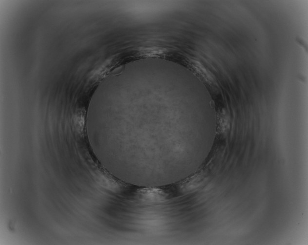 X0000093360427200710111458