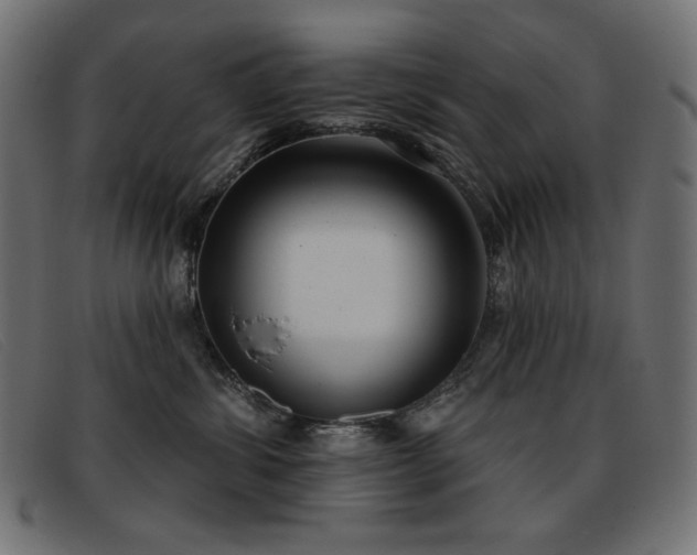X0000093360428200710111458