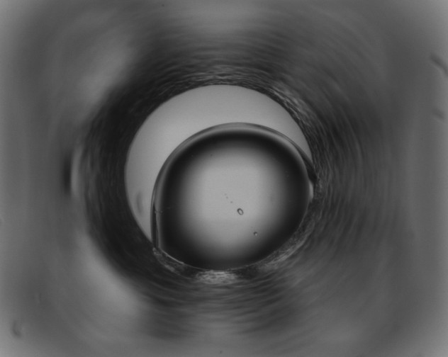 X0000093360429200710111458