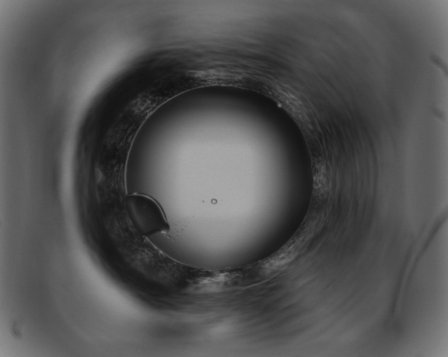 X0000093360430200710111458