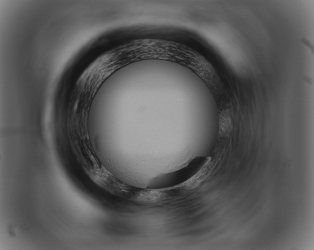 X0000093360431200710111458