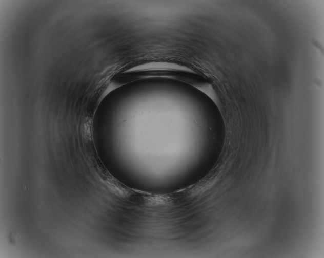 X0000093360432200710111458