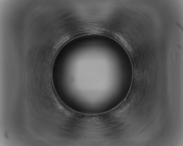 X0000093360433200710111457