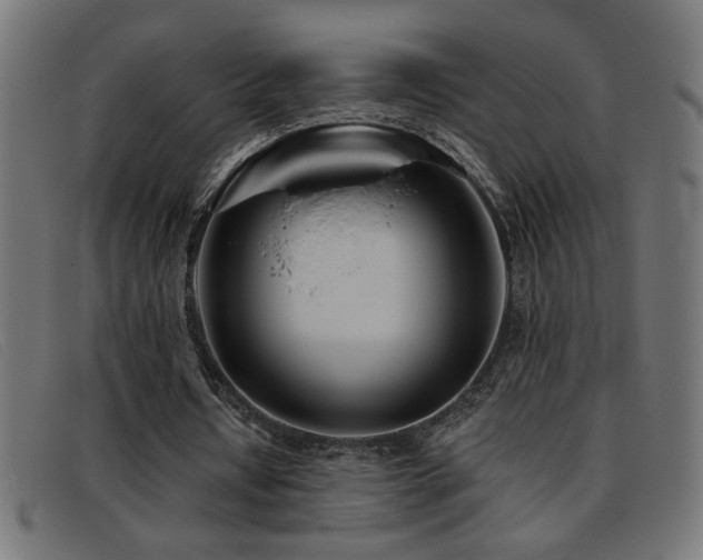 X0000093360434200710111457
