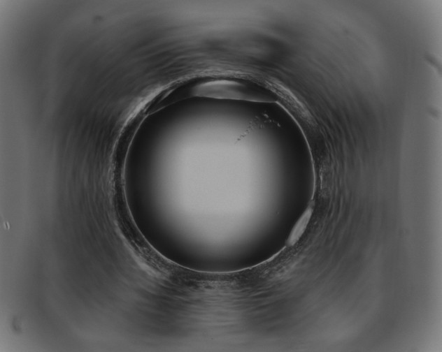 X0000093360436200710111457