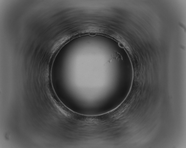 X0000093360437200710111457