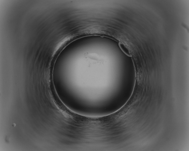 X0000093360438200710111457