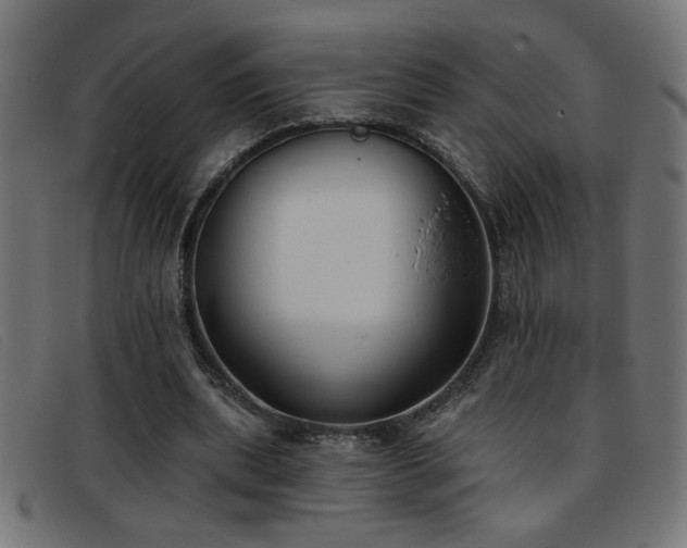 X0000093360439200710111457