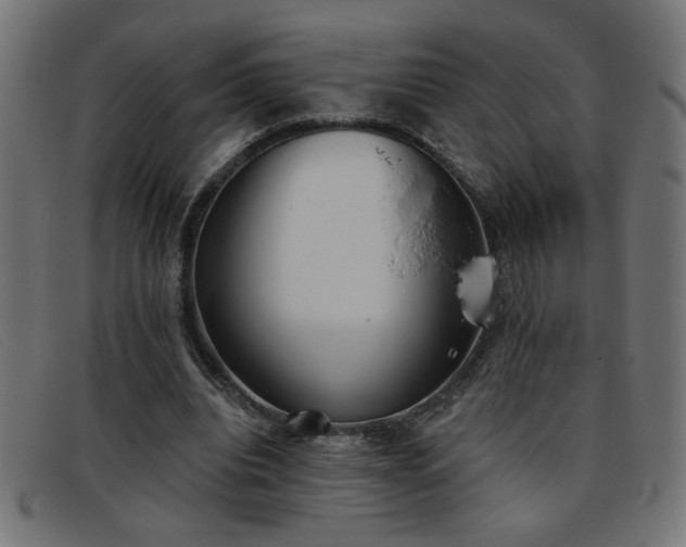 X0000093360440200710111457
