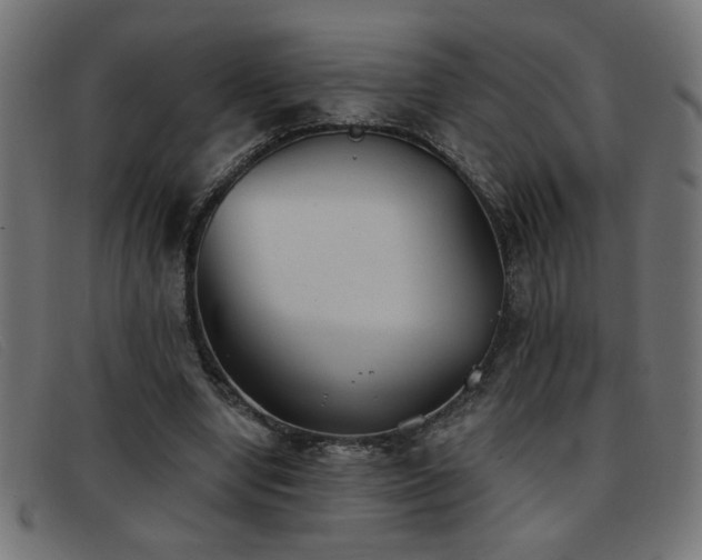 X0000093360442200710111457